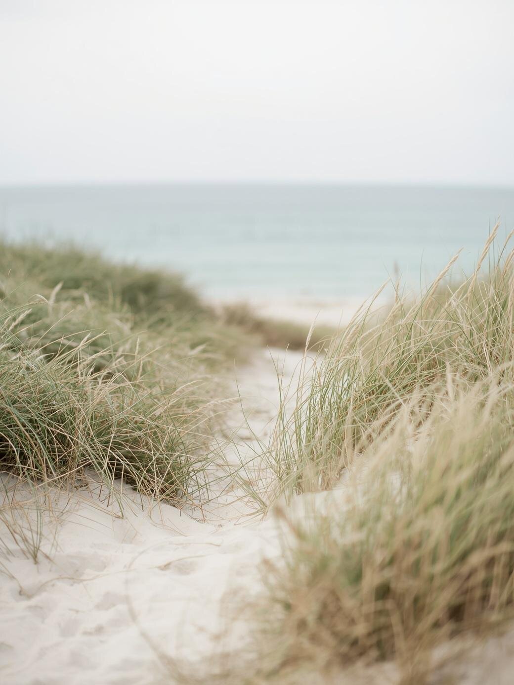 Photo of the sand dunes of nantucket parting to view the ocean
